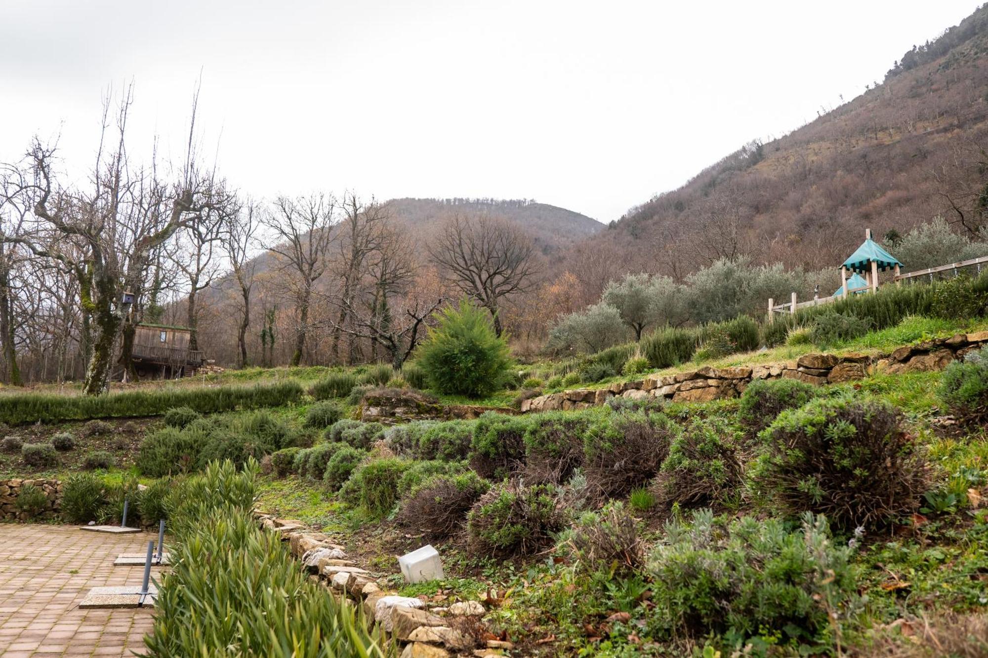 Masseria Boutique B&B Montella Ngoại thất bức ảnh